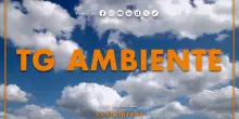 Tg Ambiente - 22/6/2025