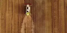 Agricoltura, nuovi finanziamenti per l'innovazione