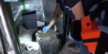 Operazione antidroga a Caltanissetta, 11 misure cautelari