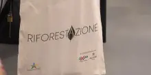 Verde urbano, il progetto "Riforestazione" fa tappa a Palermo