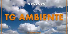 Tg Ambiente - 29/6/2025