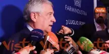 Ius Scholae, Tajani: "La cittadinanza è una cosa seria, per noi 10 anni di studio con profitto"