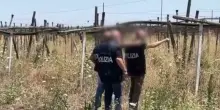Maxi operazione contro l'immigrazione clandestina in 23 province / Video