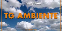 Tg Ambiente - 13/7/2025