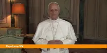 Papa Leone XIV "Venga una tregua, è in gioco la nostra umanità"