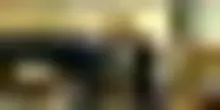 Trump nega di voler licenziare Powell: "Altamente improbabile"