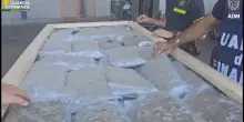 Nel porto di Gioia Tauro sequestrati 1.220 kg di marijuana