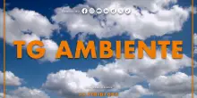 Tg Ambiente - 20/7/2025