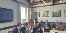 Comunicato Stampa: CRV - Via libera a bando per contributi in apicoltura e all'Osservatorio olivicolo veneto