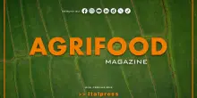Agrifood Magazine - 23/07/2025