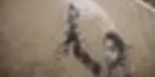 Venezia, completata messa in sicurezza del piccolo migrante di Banksy