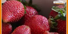 Sorsi di Benessere - Una crema di frutti rossi