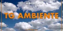 Tg Ambiente - 27/7/2025