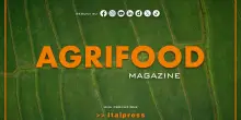 Agrifood Magazine - 30/7/2025