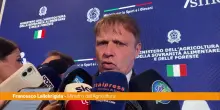 Lollobrigida "Sui dazi trattativa aperta, ci sono dei risultati"