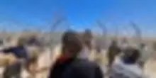 Gaza lotta contro fame e raid, Onu: 1.373 morti mentre cercavano cibo