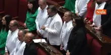 Deputati M5S vestiti con colori bandiera palestinese in Aula per chiedere riconoscimento Palestina