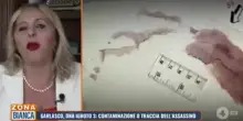 La condanna di Stasi minata alla base, Cavallaro: "Cosa manca nei verbali"