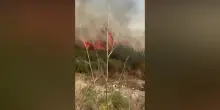 Un incendio divampa in un canneto nel ragusano, le immagini