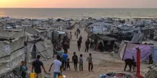 Gaza, ecco tutti i numeri degli aiuti umanitari che smentiscono Hamas