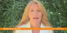 Brambilla "Due lupi condannati a morte in Alto Adige, danno enorme"