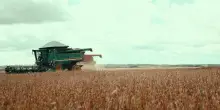 Ue, mercati agricoli resilienti nonostante le incertezze globali