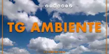 Tg Ambiente - 17/8/2025