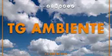 Tg Ambiente - 24/8/2025
