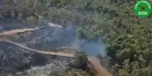 Incendio nell'Agrigentino, in fiamme ettari di bosco su Monte Sara