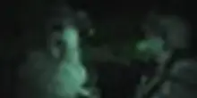Idf diffonde video di un'operazione notturna nel sud della Siria