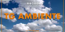 Tg Ambiente - 31/8/2025