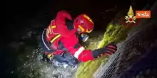 Gatto bloccato in una tubazione a Polcenigo (PN) salvato dai pompieri, i miagolii di ringraziamento