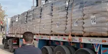 Camion, pasti e carburante: i veri numeri degli aiuti a Gaza. Altro che Flotilla...