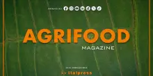 Agrifood Magazine - 10/9/2025