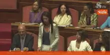 Bagarre in Senato, Maiorino attacca Tajani: "Influencer prezzolato di Israele", ecco come è andata