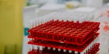 Artemisia Lab e Ospedale Pederzoli: un'alleanza strategica per l'eccellenza sanitaria