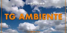 Tg Ambiente - 14/9/2025