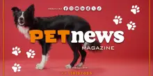 PetNews Magazine - 15/9/2025