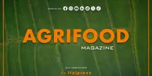 Agrifood Magazine - 17/9/2025