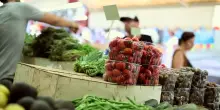 Gli italiani spendono meno per il cibo, agricoltura in crisi