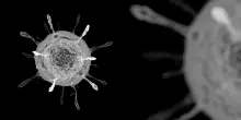 Uno studio definisce l'intervallo ottimale tra le dosi vaccinali