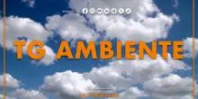 Tg Ambiente - 21/9/2025