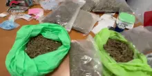 Arrestato ausiliare del traffico nel Napoletano per spaccio di droga