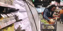 Carrelli più verdi: boom di prodotti plant-based in Italia