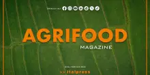 Agrifood Magazine - 24/9/2025