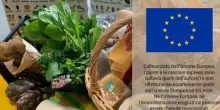 Surplus agroalimentare Ue a 3,8 miliardi a giugno, sotto al 2024
