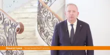 Malattie trasmesse dagli insetti, come proteggersi dal contagio