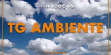 Tg Ambiente - 28/9/2025