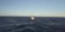 Flotilla, nave soccorso Emergency si ferma a 150 miglia da Gaza
