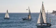Flotilla, liberati i quattro parlamentari italiani